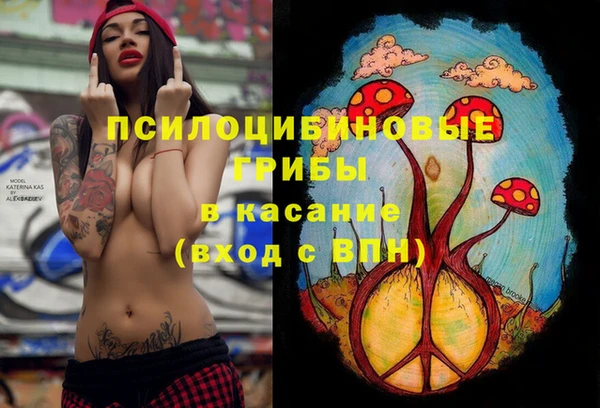 шишки Алексин