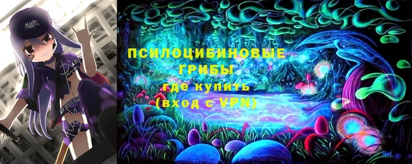 твердый Каменка