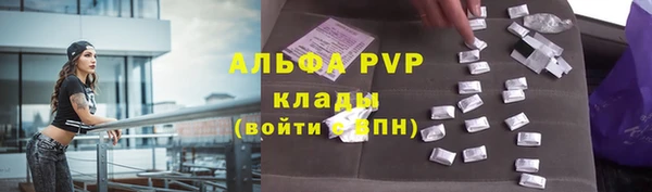шишки Алексин