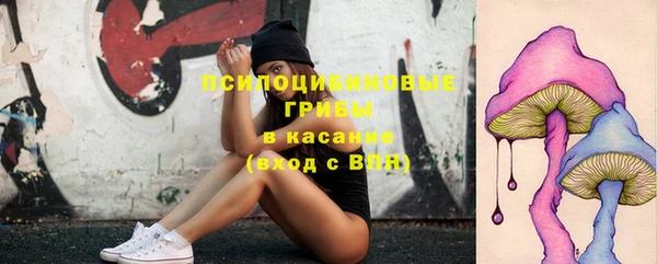 спиды Абаза