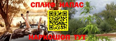 ешки Моздок