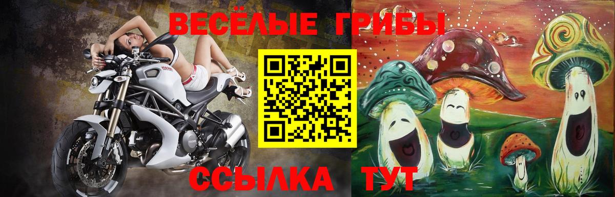 Галлюциногенные грибы мухоморы Елизово