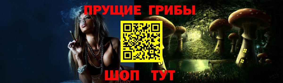 Галлюциногенные грибы мицелий  Вход с VPN  Галлюциногенные грибы Cubensis  Елизово 
