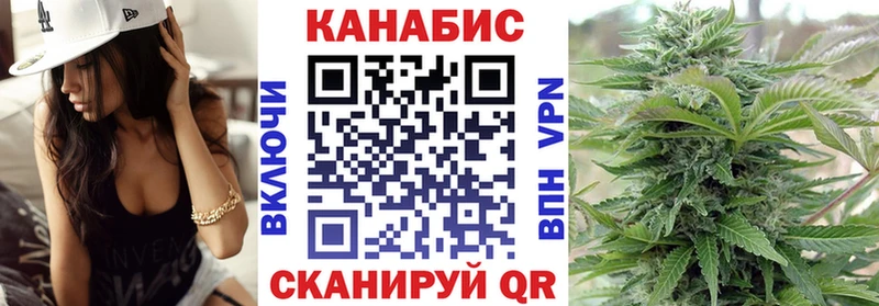 Каннабис сатива Елизово